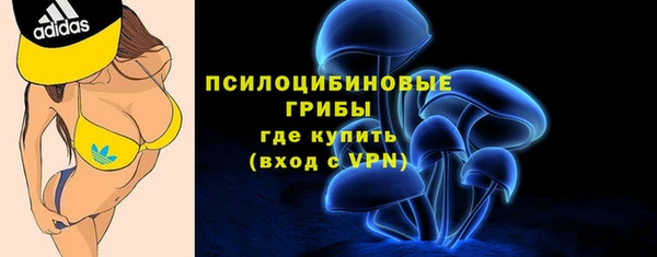 сатива Балабаново