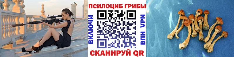 Псилоцибиновые грибы мицелий  Минеральные Воды 