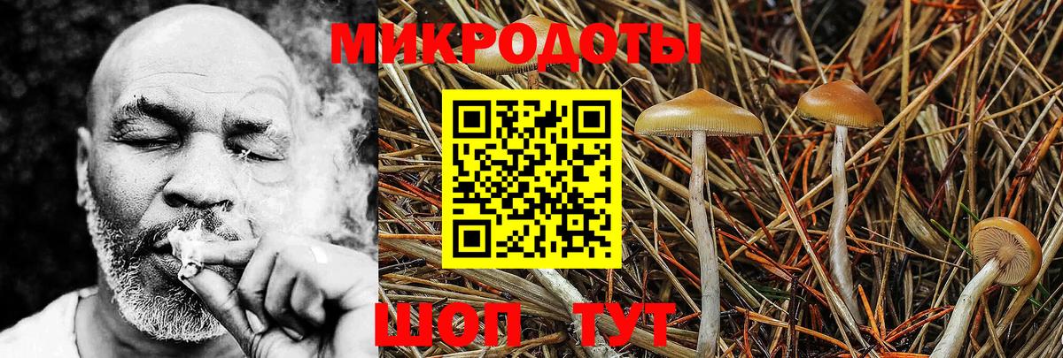 Псилоцибиновые грибы ЛСД  Псилоцибиновые грибы прущие грибы  Вход с VPN  Минеральные Воды 
